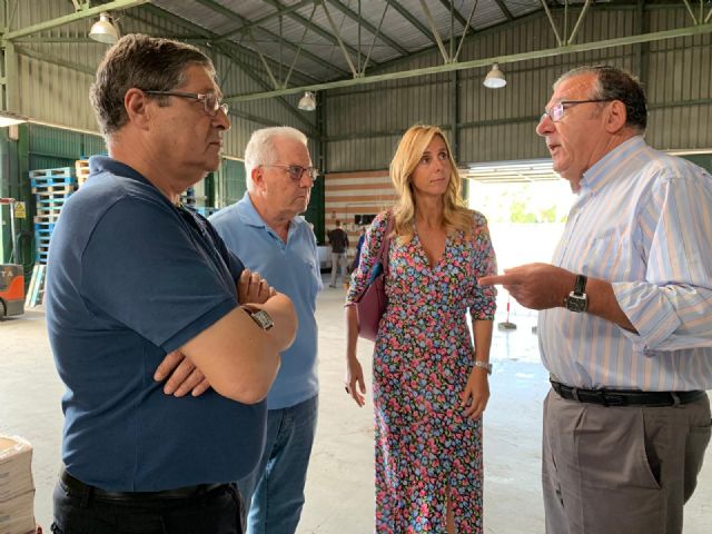 El Ayuntamiento subvencionará con 20.000 euros al Banco de Alimentos del Segura - 2, Foto 2