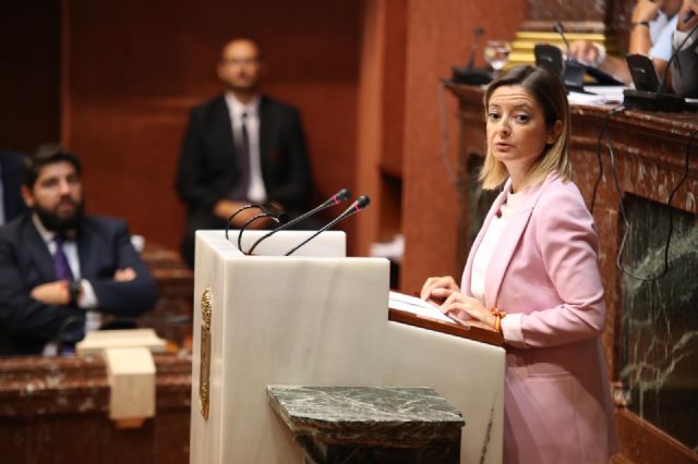 El PP defiende en la Asamblea Regional una ley consensuada de protección y defensa del Mar Menor - 1, Foto 1