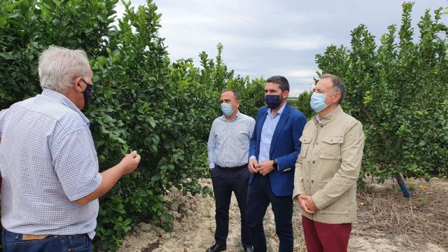 La Comunidad impulsa la aplicación de  biofertilizantes en cultivos para incrementar la sostenibilidad de la agricultura - 1, Foto 1