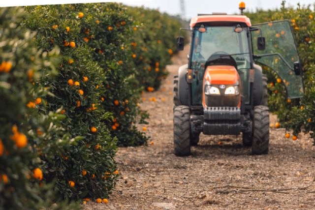 Bollo Natural Fruit eleva su facturación hasta los 500 millones de euros con la vista puesta en nuevos mercados y productos - 1, Foto 1