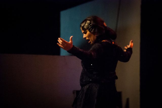 El flamenco vuelve a Lo Ferro - 4, Foto 4