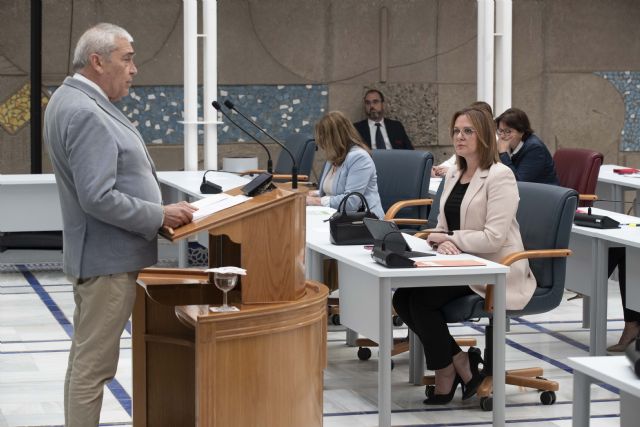 El grupo parlamentario liberal impulsa el proyecto de Ley de Emergencias y Protección Civil “necesario para la Región” - 3, Foto 3