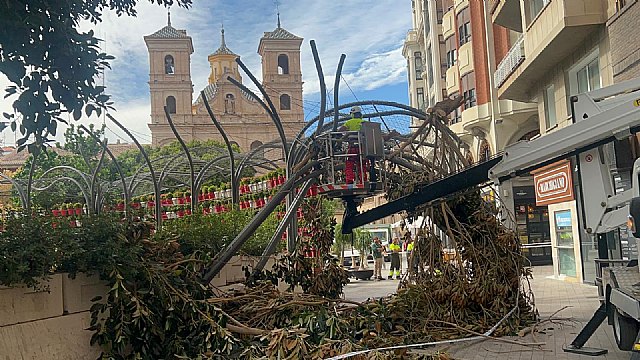 Gestoso manifiesta la preocupación de las ramas caídas del Ficus de Santo Domingo - 1, Foto 1