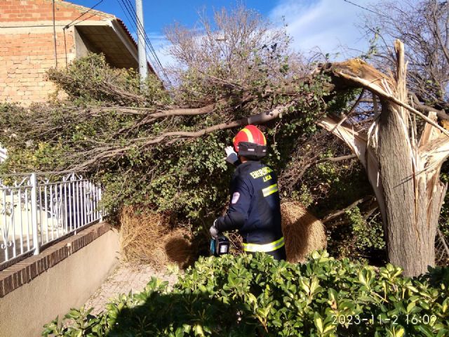 Las fuertes rachas de viento dejan hasta el momento un total de 36 incidencias en Lorca - 1, Foto 1