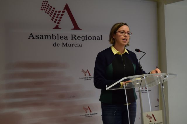 El PP  propone en la Asamblea hacer más accesible la cultura a las personas con  discapacidad - 1, Foto 1