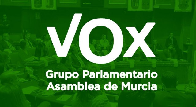 El Grupo Parlamentario Vox consigue retirar el proyecto de reforma del Estatuto de Autonomía - 1, Foto 1