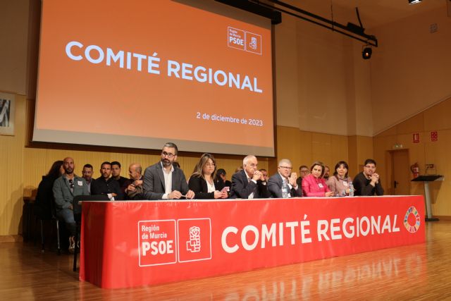 Pepe Vélez: Una vez más, hemos demostrado que el PSOE es el partido que vertebra, que une y hace avanzar España - 2, Foto 2