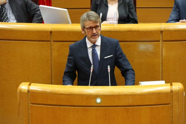 El Gobierno regional defiende en el Senado que la reforma de la financiación no es algo teórico, sino que afecta al día a día de los ciudadanos - 1, Foto 1