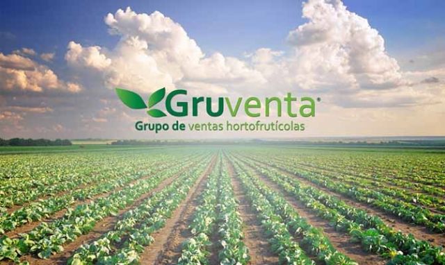 GRUVENTA pide a 2019 un año “con mayor internacionalización” para el sector hortofrutícola español - 1, Foto 1