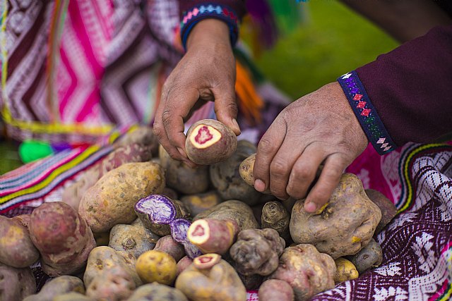 Perú, la superdespensa aliada del veganismo - 1, Foto 1