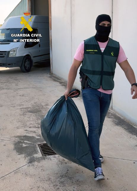 La Guardia Civil desmantela en Archena un grupo delictivo que cultivaba gran cantidad de marihuana - 1, Foto 1