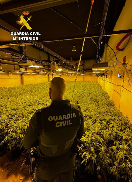 La Guardia Civil desmantela en Archena un grupo delictivo que cultivaba gran cantidad de marihuana - 2, Foto 2