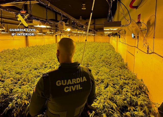 La Guardia Civil desmantela en Archena un grupo delictivo que cultivaba gran cantidad de marihuana - 3, Foto 3