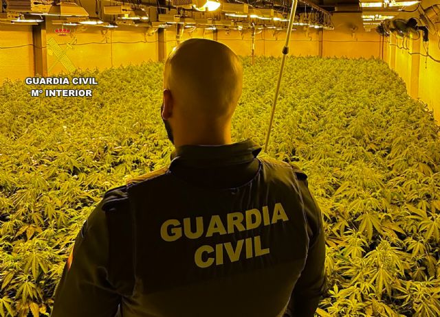 La Guardia Civil desmantela en Archena un grupo delictivo que cultivaba gran cantidad de marihuana - 4, Foto 4