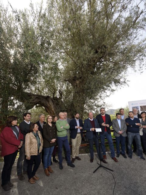 El PP divulga la Ley de Patrimonio Arbóreo Monumental de la Región pionera en España - 2, Foto 2