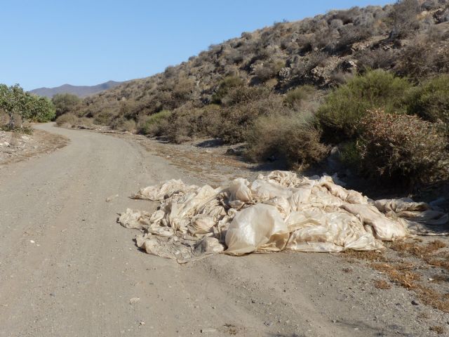 La epidemia ha incrementado la presión humana sobre los espacios naturales de Lorca y también la basuraleza - 3, Foto 3