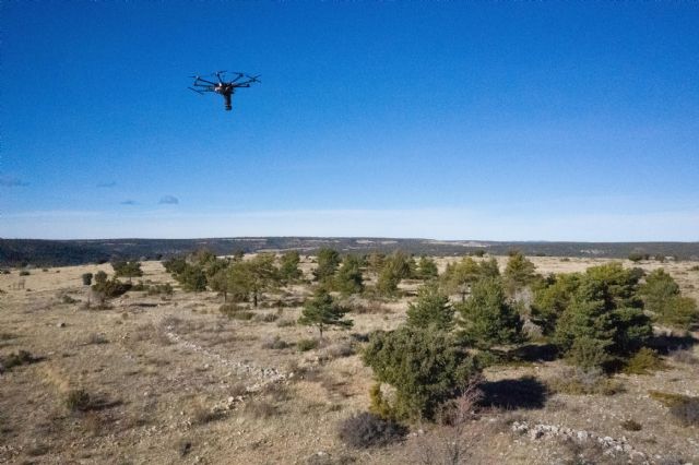 Iberdrola reforestará los pueblos de España más comprometidos con la sostenibilidad - 1, Foto 1