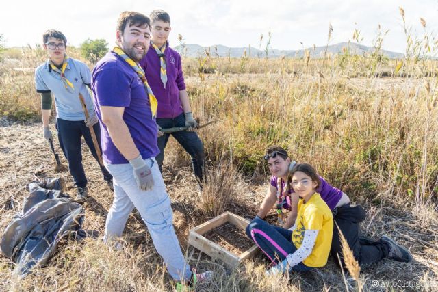 Más de 200 personas participan en una limpieza ambiental en el saladar Lo Poyo y el Mar Menor - 1, Foto 1