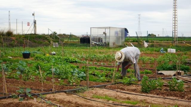 Los inmigrantes aportan al Estado un 70% más de lo que perciben y un 30% más que los nacidos en España - 1, Foto 1