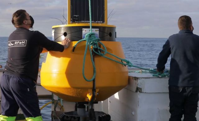 Grupo Ricardo Fuentes activa dos estaciones marítimas para medir de forma constante las condiciones del agua en sus viveros de atún rojo - 1, Foto 1