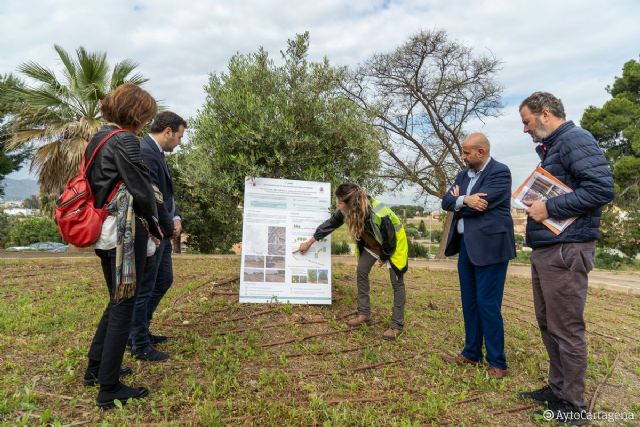 Luz verde a la redacción del proyecto para crear una zona verde inundable y un jardín de lluvia en el parque Escipión - 1, Foto 1