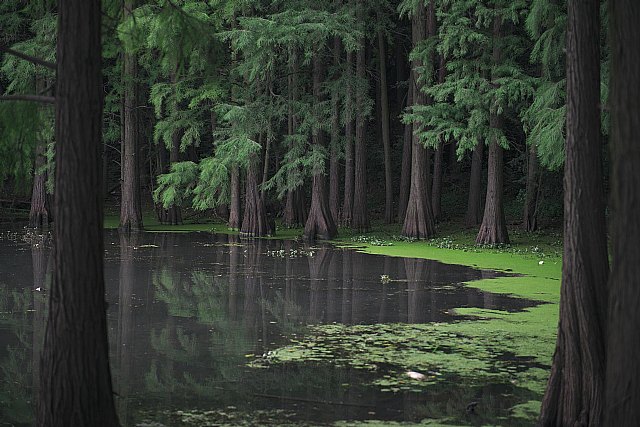 Thader celebra el Día Mundial del Medio Ambiente - 1, Foto 1