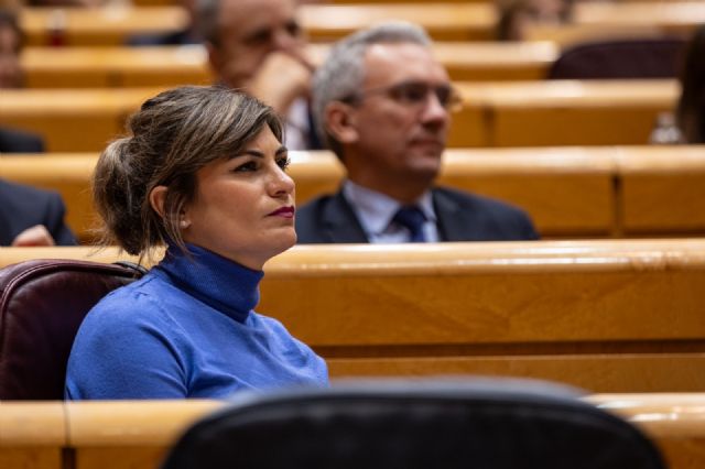 El PSOE pide en el Senado fortalecer la lucha contra la corrupción, la calidad democrática y la gobernanza transparente - 1, Foto 1