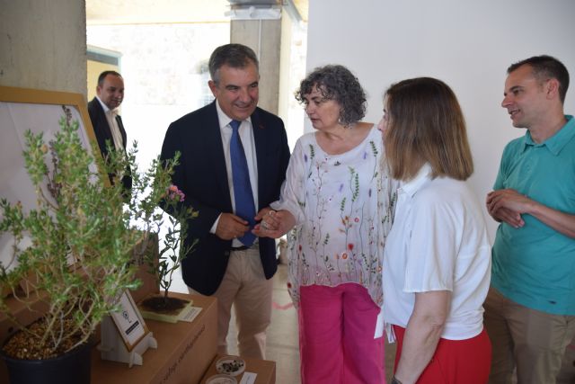 La UPCT exhibe la jara de Cartagena que ha salvado de la extinción: quedaban cinco plantas y ahora hay mil - 1, Foto 1