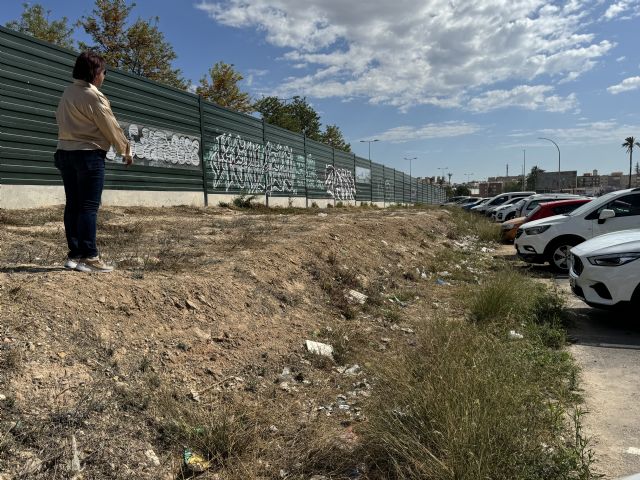 MC propone intervenir en Nueva Cartagena dotando de un plan sombra a los parques y con un proyecto de zona de arbolado comunitario en la calle Picos de Europa - 1, Foto 1