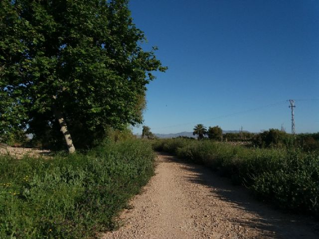 El Ministerio ha realizado un encargo a TRAGSA para el mantenimiento ordinario de los ríos y los cauces de la cuenca del Segura - 1, Foto 1