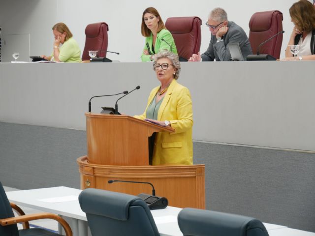 La Asamblea aprueba la ley del PP que incrementa el importe de las plazas y servicios de los conciertos sociales de atención al menor para mejorar las prestaciones asistenciales - 1, Foto 1