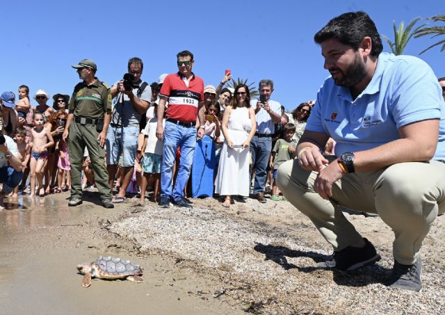 Región de Murcia: Territorio Tortuga. Liberan 30 tortugas bobas en Isla Plana - 1, Foto 1