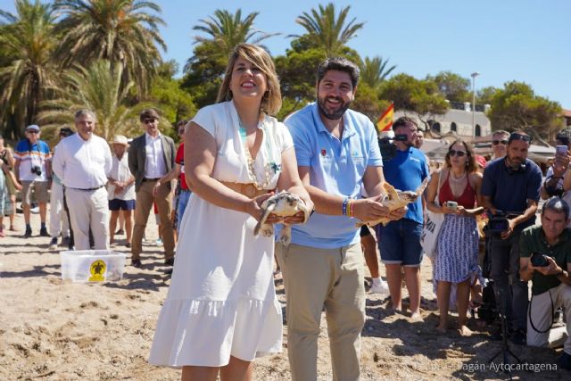 Liberan 30 tortugas bobas en Isla Plana y hallan rastros de este animal protegido en Cabo de Palos - 1, Foto 1