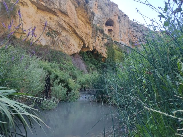 Abrazo al agua en Río Quipar - 1, Foto 1