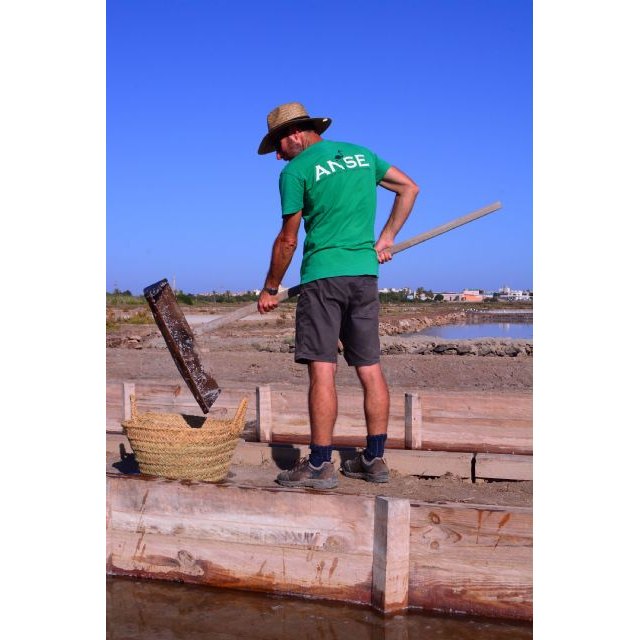 El proyecto RESALAR para la recuperación de salinas en Mar Menor da sus primeros frutos - 3, Foto 3