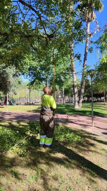 El Ayuntamiento realiza trabajos de refaldeo en más de 3.000 árboles para mejorar la seguridad de viandantes y vehículos El Ayuntamiento realiza trabajos de refaldeo en más de 3.000 árboles para mejorar la seguridad de viandantes y vehículos