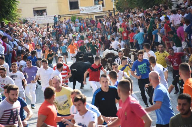 Primer encierro taurino de las fiestas de Calasparra rápido y concurrido - 5, Foto 5