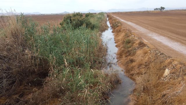 MC volverá a reclamar la limpieza de la Rambla de Miranda - 4, Foto 4