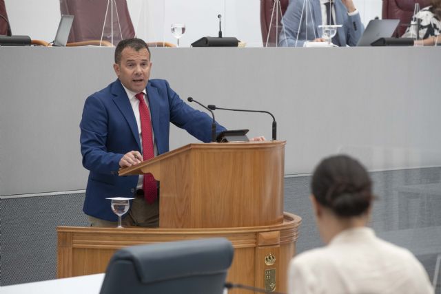 Moreno: El PP debería dejar de mentir, asumir sus obligaciones y dotar al Servicio de Prevención y Extinción de Incendios Forestales de la Región de los recursos necesarios - 1, Foto 1