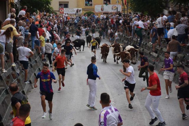 Encierros de Calasparra  3 de septiembre. El encierro de El Pincha protagoniza un encierro limpio y muy emocionante - 1, Foto 1