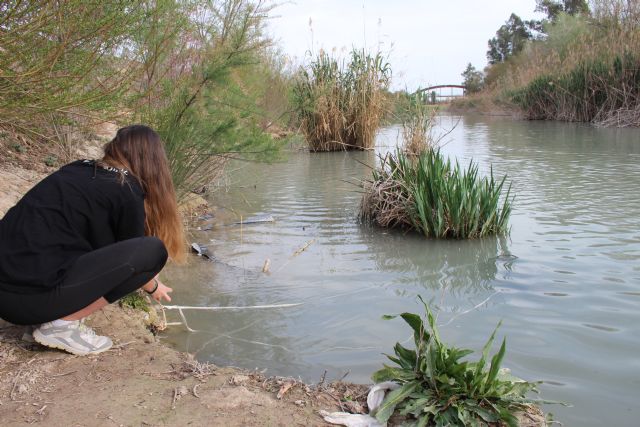 La CHS invierte más de 203.000 euros en el estudio de la población de peces y la eutrofización en embalses de la demarcación del Segura La CHS invierte más de 203.000 euros en el estudio de la población de peces y la eutrofización en embalses de la demarcación del Segura