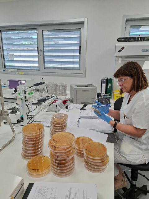 El Laboratorio Regional de Salud Pública refuerza la seguridad alimentaria y ambiental tras analizar más de 6.900 muestras en 2025 El Laboratorio Regional de Salud Pública refuerza la seguridad alimentaria y ambiental tras analizar más de 6.900 muestras en 2025