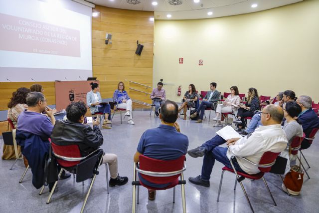 El Consejo Asesor regional del Voluntariado analiza las ayudas convocadas para este año - 1, Foto 1