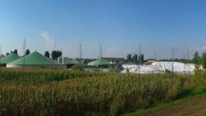 Ecologistas en Acción en contra de la instalación de una planta de biogás en Santomera - 1, Foto 1