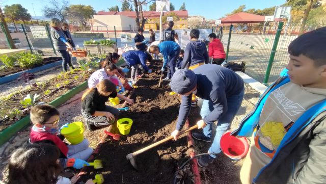 El Ayuntamiento impulsa la educación ambiental en los colegios a través de los Huertos Escolares Ecológicos y las Escuelas Verdes El Ayuntamiento impulsa la educación ambiental en los colegios a través de los Huertos Escolares Ecológicos y las Escuelas Verdes