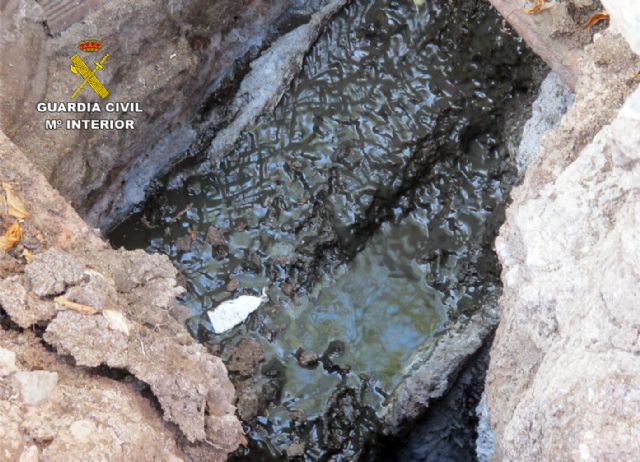 La Guardia Civil investiga al propietario de una granja por abandono animal, vertidos de purines y captación ilegal de aguas públicas - 3, Foto 3