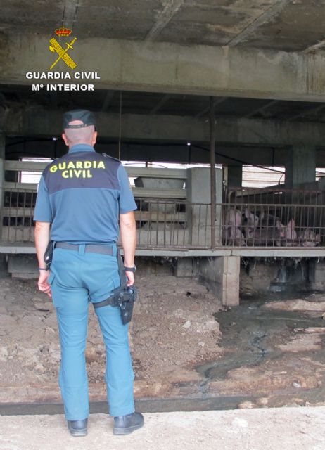 La Guardia Civil investiga al propietario de una granja por abandono animal, vertidos de purines y captación ilegal de aguas públicas - 4, Foto 4