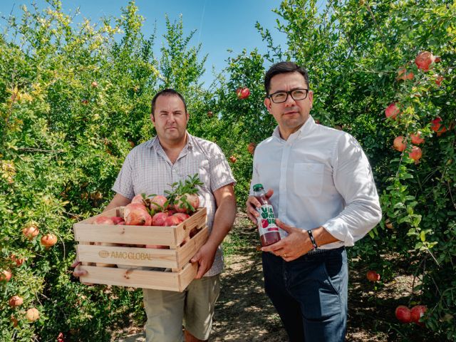 Vianature, acuerda con los agricultores alicantinos fomentar con sus zumos el consumo de granada a nivel nacional - 1, Foto 1