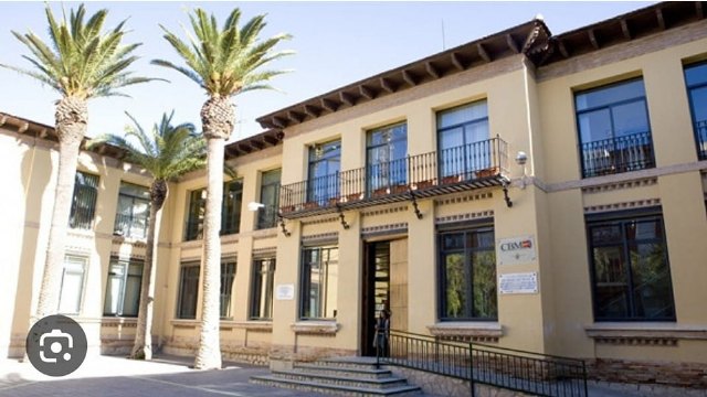 Suspendidas las clases este viernes en el Colegio Cristo del Consuelo por desprendimientos a causa del viento - 1, Foto 1