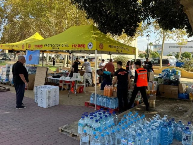 Éxito en la recogida solidaria para los afectados por la DANA: Mula muestra su solidaridad - 1, Foto 1